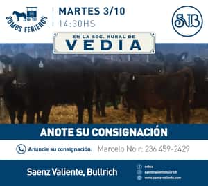 FERIA EN VEDIA