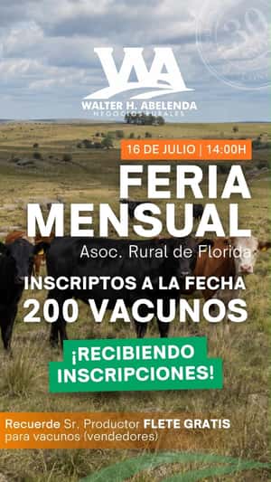 Feria mensual - Walter H Abelenda