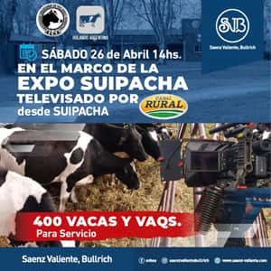 Holando Argentino - Televisado