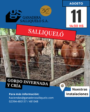 REMATE FERIA EN SALLIQUELÓ