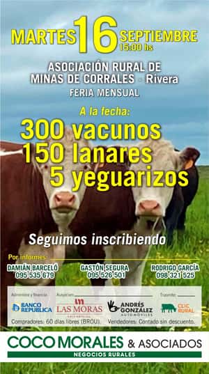 Imagen Feria Mensual - Coco Morales