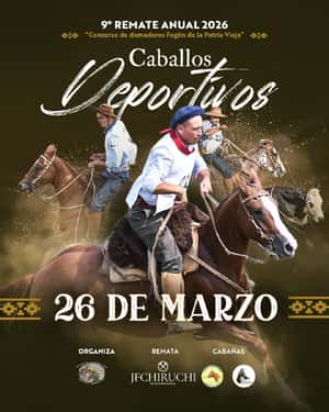 Caballos Deportivos