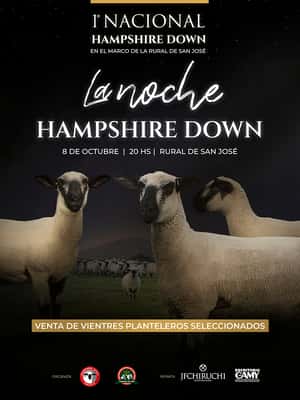 La noche Hampshire Down