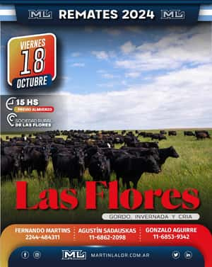 Las Flores Oct 24´