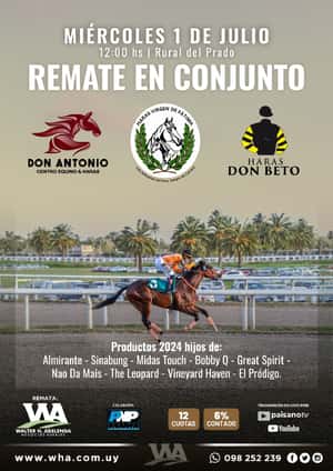 Remate En Conjunto (Gen. 2024)