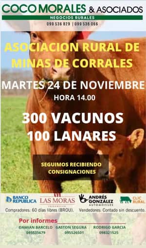 Imagen Feria mensual - Coco Morales y Asoc