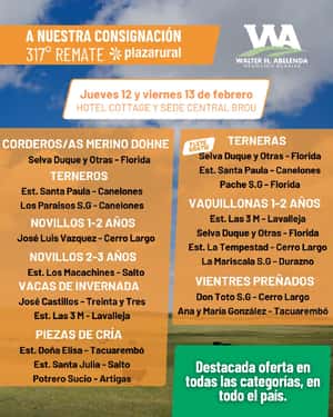 317º remate Plaza Rural