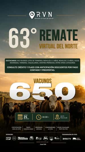 63º Remate Virtual del Norte