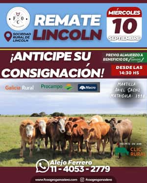 10 de Septiembre - Lincoln