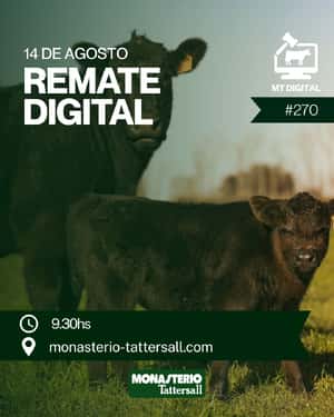 270° Remate por internet   