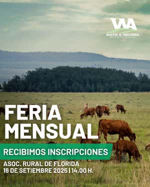 Feria Mensual