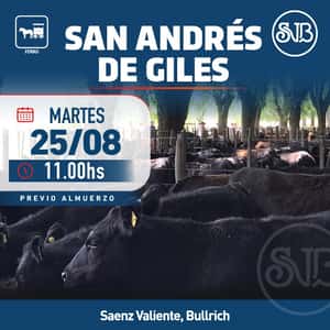 Feria en S. A. de Giles