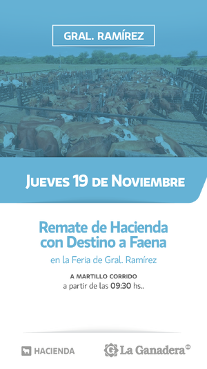 REMATE FERIA EN INSTALACIONES DE GRAL. RAMÍREZ