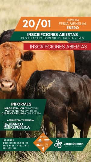 Feria Mensual - Jorge Strauch