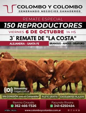 3º Remate de "La Costa" - 150 Reproductores