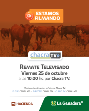 REMATE TELEVISADO N°67 POR CHACRA TV