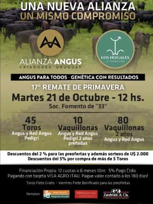 Alianza Angus