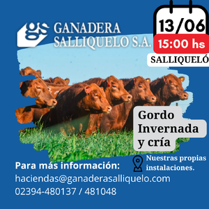 Remate Gordo, Invernada y Cría en Salliqueló
