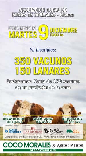 Imagen Feria Mensual - Coco Morales