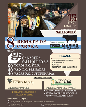 Remate de Cabaña Tres María