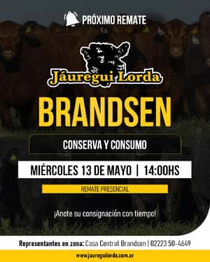 13 de Mayo - Brandsen