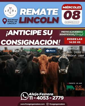 08 de Octubre - Lincoln
