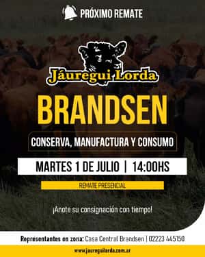 CONSUMO, CONSERVA