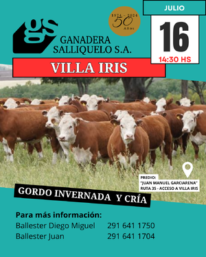  REMATE EN Villa Iris