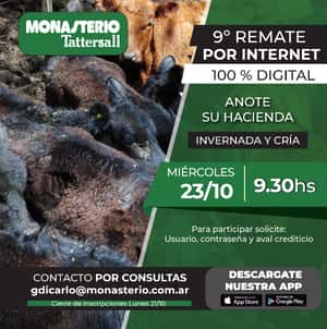 9º Remate por Internet