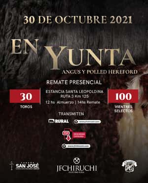 EN YUNTA