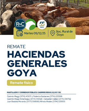 REMATE HACIENDAS GENERALES GOYA