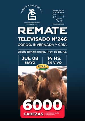246° REMATE POR PANTALLA