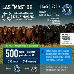 Cabaña Las Blancas de Delfinagro 