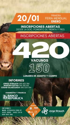 Feria Mensual - Jorge Strauch