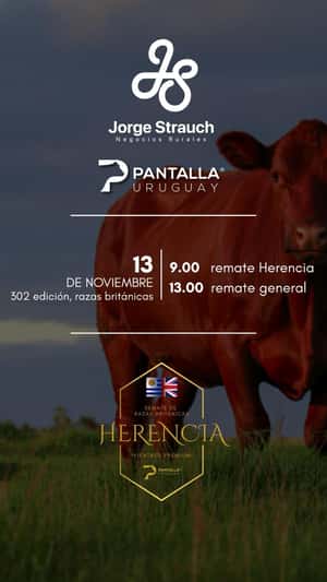 302º remate Pantalla Uruguay