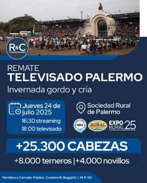 TELEVISADO PALERMO