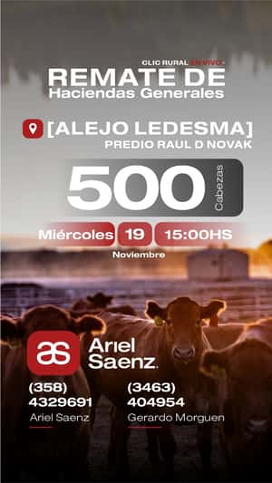 19 DE NOVIEMBRE - Alejo Ledesma