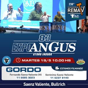 238° RematV - GORDO