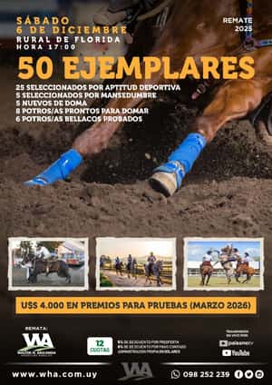 Remate de Deportivos