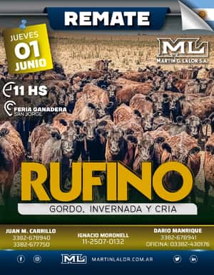 Rufino (Junio 23)