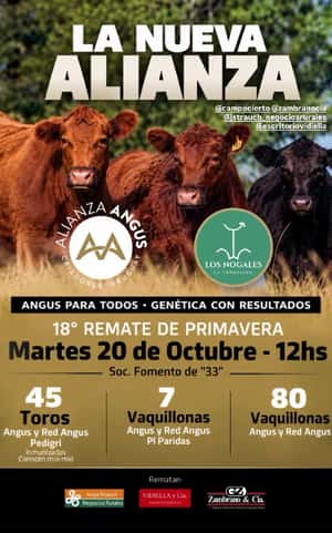 Alianza Angus