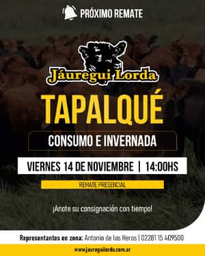 14 de Noviembre - Tapalqué