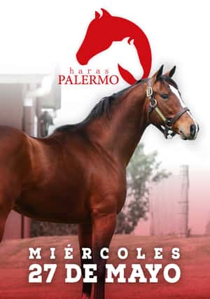 Haras Palermo