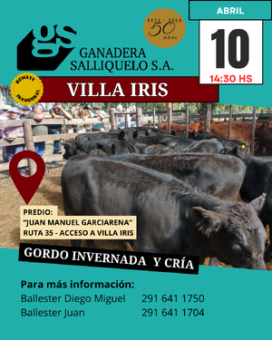 REMATE FERIA EN VILLA IRIS