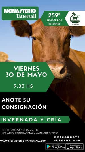 259° Remate por internet