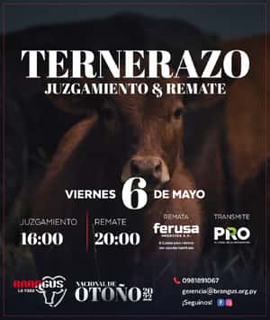 NACIONAL DE OTOÑO BRANGUS 2022 - REMATE TERNERAZO