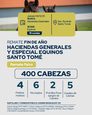 REMATE FIN DE AÑO HACIENDAS GENERALES Y ESPACIAL DE EQUINOS SANTO TOMÉ