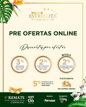 Remate Nelore Estrellita