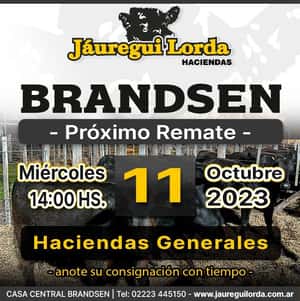 Remate Brandsen Haciendas generales, Miércoles 11 de Octubre 
