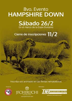 8vo. Evento  HAMPSHIRE DOWN